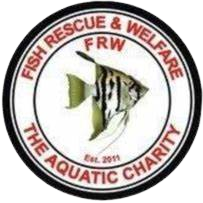 Fish Rescue And welfare